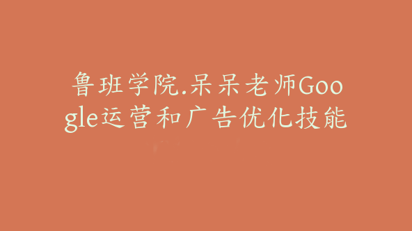 鲁班学院.呆呆老师Google运营和广告优化技能【Ab-0023】