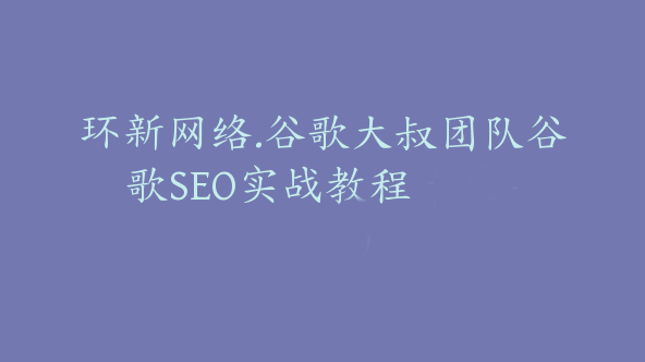 环新网络.谷歌大叔团队谷歌SEO实战教程【Ab-0024】