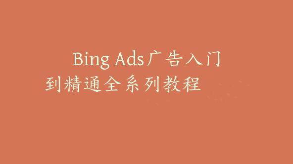 Bing Ads广告入门到精通全系列教程【Ab-0028】