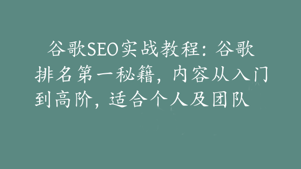 谷歌SEO实战教程：谷歌排名第一秘籍，内容从入门到高阶，适合个人及团队【Ab-0043】