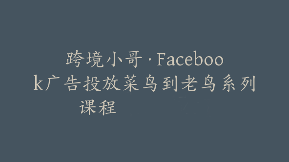 跨境小哥·Facebook广告投放菜鸟到老鸟系列课程【Ab-0045】