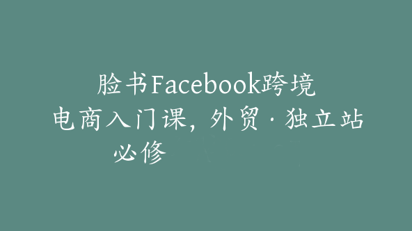 脸书Facebook跨境电商入门课，外贸·独立站必修【Ab-0053】