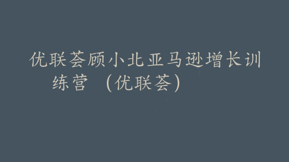 优联荟顾小北亚马逊增长训练营 （优联荟）【Ac-0038】