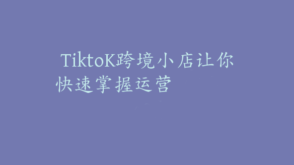 TiktoK跨境小店让你快速掌握运营【Ad-0048】