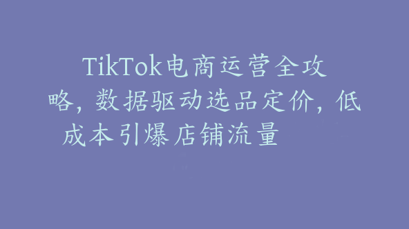 TikTok电商运营全攻略，数据驱动选品定价，低成本引爆店铺流量【Ad-0052】