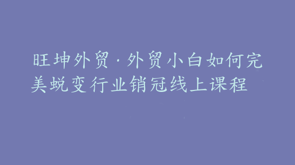 旺坤外贸·外贸小白如何完美蜕变行业销冠线上课程【Ag-0082】