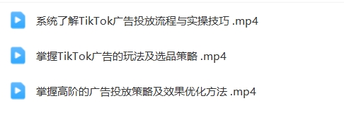 稳哥·如何投出高ROl的TikTok广告，开拓独立站卖家流量新蓝海【Ad-0029】