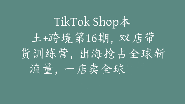 TikTok Shop本土+跨境第16期，双店带货训练营，出海抢占全球新流量，一店卖全球【Ad-0013】