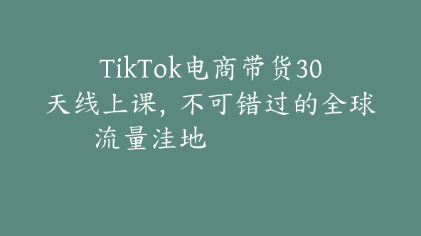 TikTok电商带货30天线上课，不可错过的全球流量洼地【Ad-0020】