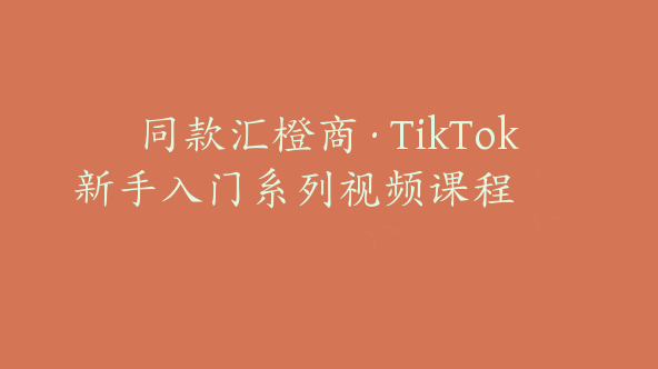 同款汇橙商·TikTok新手入门系列视频课程【Ad-0030】