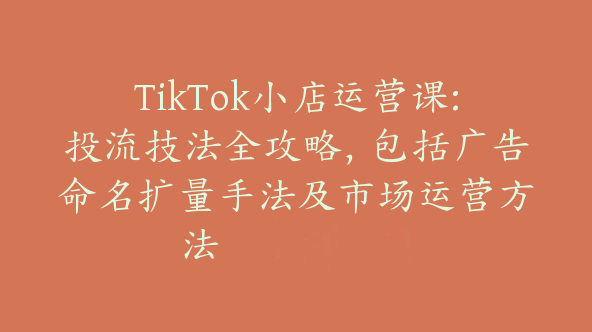 TikTok小店运营课:投流技法全攻略，包括广告命名扩量手法及市场运营方法【Ad-0035】