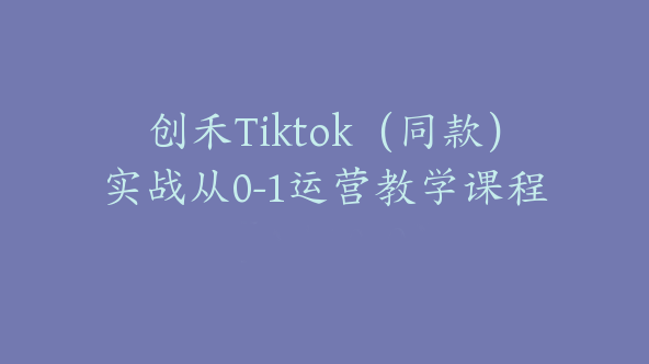 创禾Tiktok（同款）实战从0-1运营教学课程【Ad-0040】